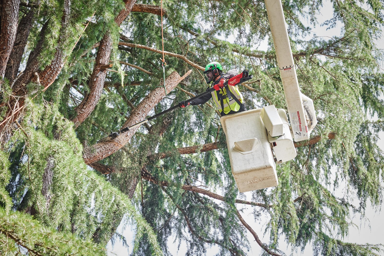 Fierăstrău emondor telescopic M18 FUEL cu lamă 30 cm Milwaukee M18 FTPS30-0 - in utilizare 5