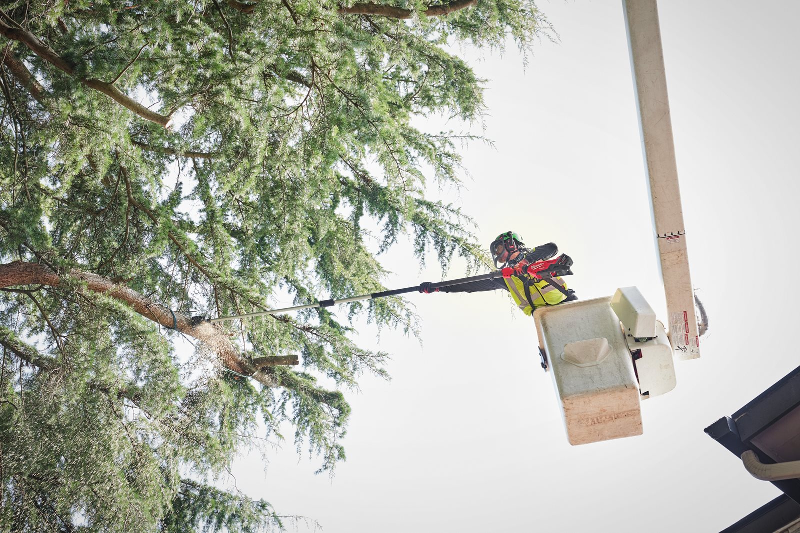 Fierăstrău emondor telescopic M18 FUEL cu lamă 30 cm Milwaukee M18 FTPS30-0 - in utilizare 6