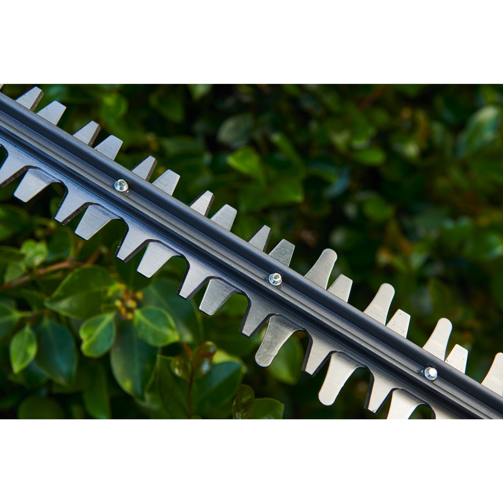 Foarfecă de gard viu fără fir MAX POWER, lamă de 60 cm Ryobi RY36HT60A-0 - in utilizare 4