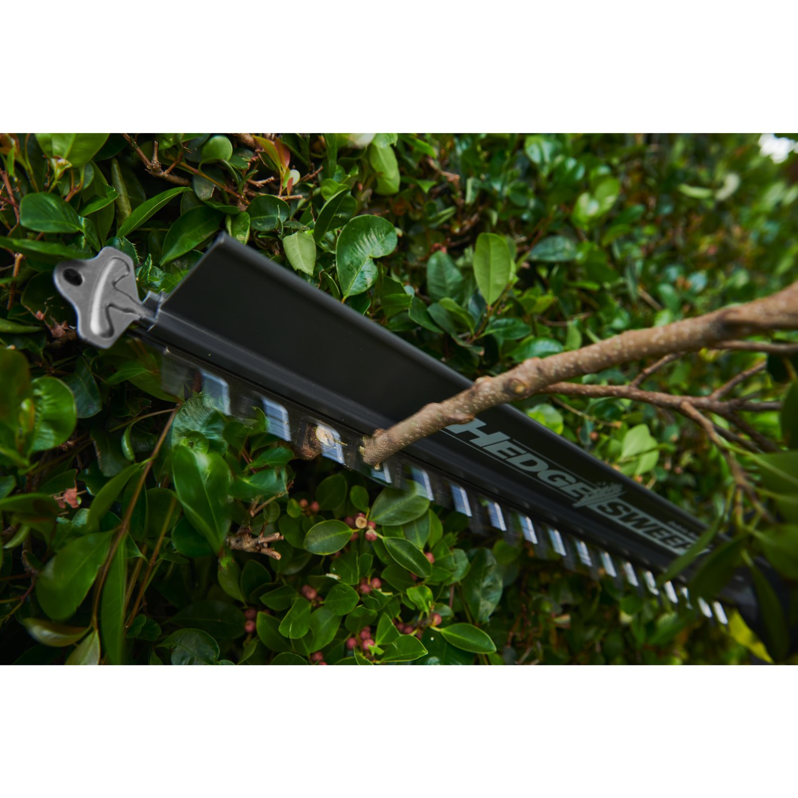 Foarfecă de gard viu fără fir MAX POWER, lamă de 60 cm Ryobi RY36HT60A-0 - in utilizare 5