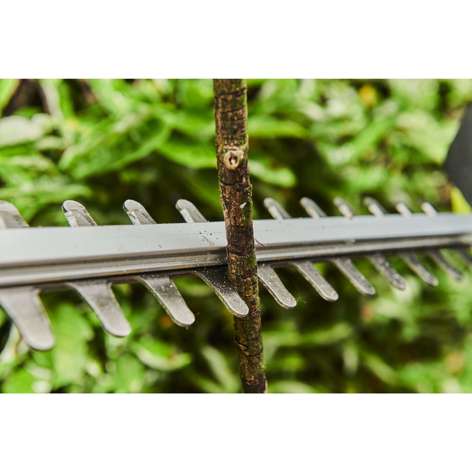 Foarfecă de gard viu telescopică MAX POWER fără cablu Ryobi RY36PHT50A-0 - in utilizare 4